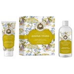 Набор подарочный для лица, Рецепты бабушки Агафьи 250 мл + 50 мл Сибирская травница Добрые травы мицеллярная вода + фито-крем для лица увлажнение и мягкость кожи коробка